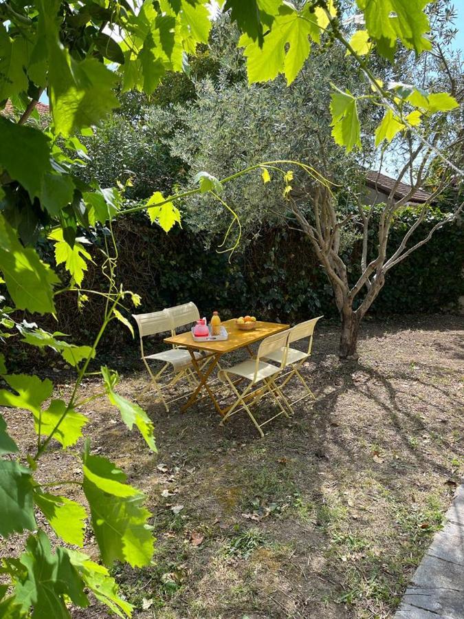Maison De Charme Avec Jardin Carcassonne Exteriör bild
